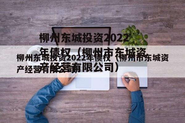 柳州东城投资2022年债权（柳州市东城资产经营有限公司）